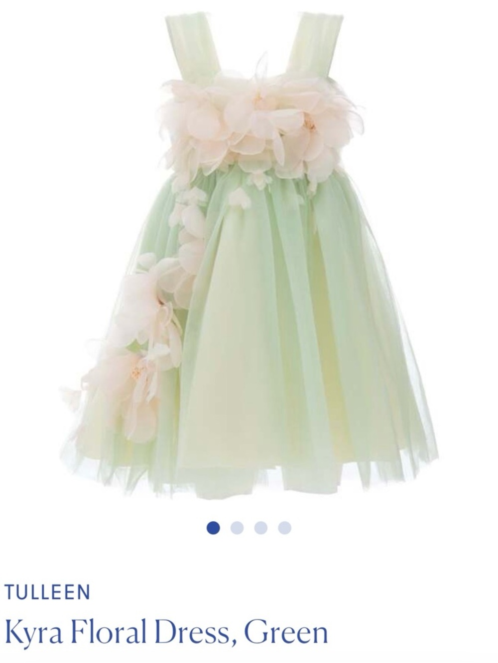 Tulle Kyra Floral Green Tulle Dress for Girls